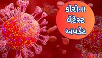 કોરોનાના કેસોએ ગુજરાતમાં આજે સદી ફટકારી, IPLની ફાયનલ બની શકે છે કોરોના બોમ્બ