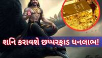 શનિ માર્ગી ચાલમાં બનશે વધુ શક્તિશાળી! આ 3 રાશિવાળાનો બેડો પાર થશે, ધડાધડ લાભ થશે