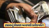 આ SIPમાં દર મહિને કરો માત્ર 2500 રૂપિયાનું રોકાણ, મળશે 1 કરોડ, જાણો કેવી રીતે