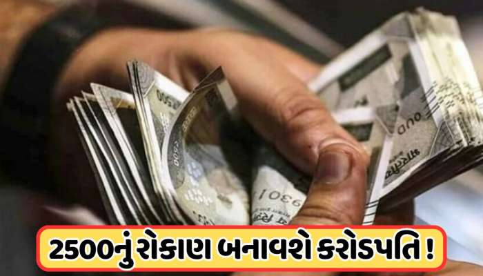 આ SIPમાં દર મહિને કરો માત્ર 2500 રૂપિયાનું રોકાણ, મળશે 1 કરોડ, જાણો કેવી રીતે