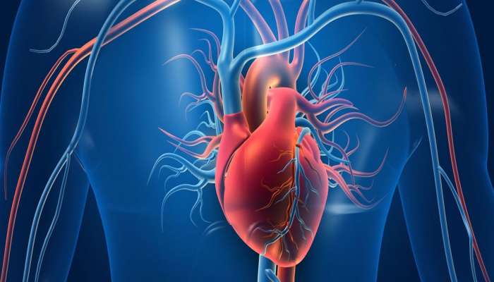 Ischemic Heart: કોવિડ કરતાં પણ ઘાતક છે આ બીમારી, હૃદય થઈ જાય પથ્થર જેવું કઠણ, જાણો લક્ષણો અને ઉપાય વિશે