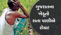 કુદરતે દક્ષિણ ગુજરાતના ખેડૂતોનો ખેલ કરી નાંખ્યો, ડાંગરના ખેડૂતો પર આવી મોટી મુસીબત