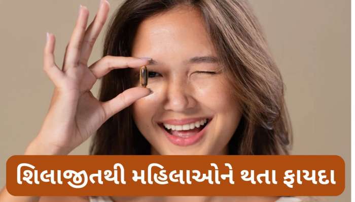 Shilajit Benefits: માત્ર પુરુષો જ નહીં સ્ત્રીઓ પણ ખાઈ શકે છે શિલાજીત, જાણો કઈ તકલીફમાં મહિલાઓએ ખાવું શિલાજીત