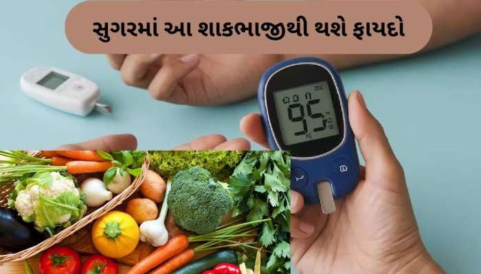 દવા વગર કંટ્રોલ થઈ શકે છે સુગર લેવલ, બસ ડાયાબિટીસના દર્દી આ 3 શાકભાજીનું કરે સેવન!