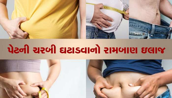  શરીરમાં જમા થયેલી હઠીલી ચરબી ઓગળી જશે, આ વસ્તુઓને દહીંમાં ભેળવીને ખાઓ