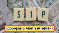 20000નું રોકાણ બનાવી શકે છે 5 કરોડના માલિક, અડધા ભારતને નથી ખબર આ કેલ્ક્યુલેશન !