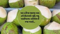 બસ આ 5 ટીપ્સ જાણી લો એટલે ઓછા અને વધુ પાણીવાળા નારિયેળની ઓળખ થઈ જશે...