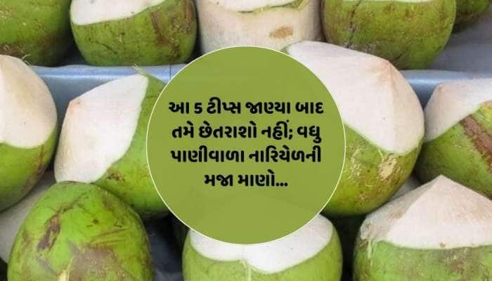 બસ આ 5 ટીપ્સ જાણી લો એટલે ઓછા અને વધુ પાણીવાળા નારિયેળની ઓળખ થઈ જશે...