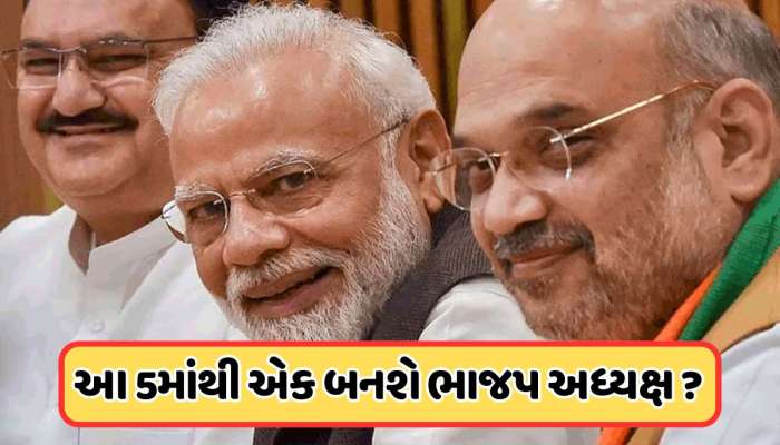 BJP President: જુલાઈમાં ભાજપને મળશે નવા રાષ્ટ્રીય અધ્યક્ષ, બધું જ છે ફાઈનલ! આ 5 નામ સૌથી આગળ 