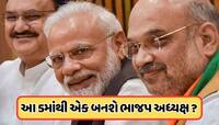 BJP President: જુલાઈમાં ભાજપને મળશે નવા રાષ્ટ્રીય અધ્યક્ષ, બધું જ છે ફાઈનલ! આ 5 નામ 