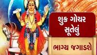 29 જૂનથી પલટશે આ રાશિઓની કિસ્મત,ધનના દાતા શુક્ર કરશે પોતાની રાશિમાં પ્રવેશ;થશે ધનલાભ