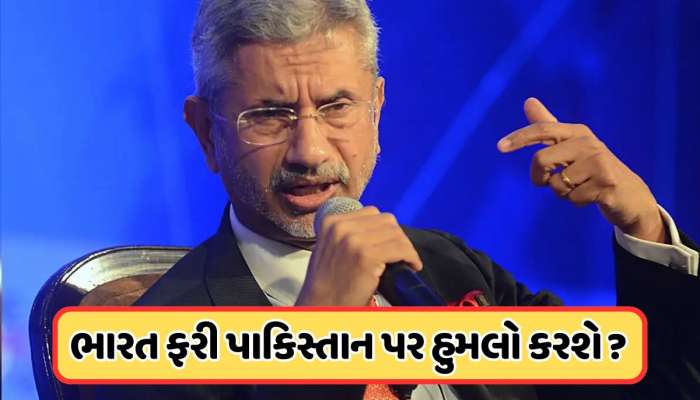 'યુદ્ધ બંધ થયું કારણ કે અમે...', પાકિસ્તાન સાથે ભારતે કેમ કર્યું યુદ્ધવિરામ, વિદેશ મંત્રી એસ જયશંકરે કર્યો ખુલાસો