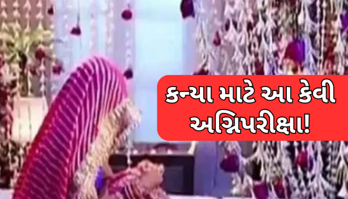 અજીબ રિવાજ! અહીં પરિવારના સભ્યોની સામે સુહાગરાત મનાવે છે દુલ્હા-દુલ્હન, ચાદર નીચે ચાલે છે 'રોમાન્સ'! જુઓ Video