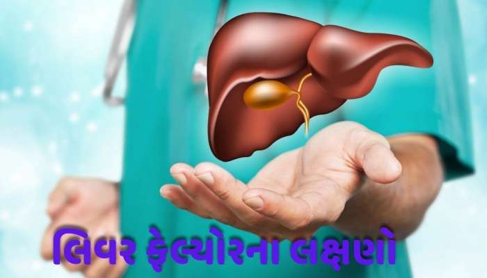  લિવર ખરાબ હોવાની મોટી ચેતવણી! શરીરમાં આ 4 લક્ષણ જોવા મળે તો થઈ જાવ સાવધાન, તાત્કાલિક ડોક્ટરનો સંપર્ક કરો