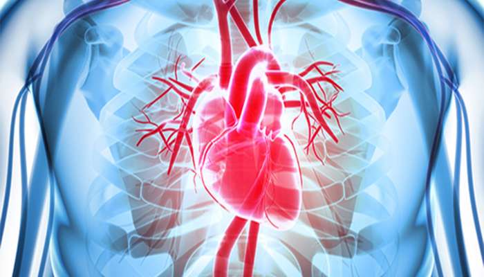 Heart Attack: હાર્ટ એટેક આવે તેની 2 મિનિટની અંદર આ કામ કરવામાં આવે તો ટળી શકે છે મોત