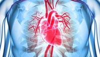 Heart Attack: હાર્ટ એટેક આવે તેની 2 મિનિટની અંદર આ કામ કરવામાં આવે તો ટળી શકે છે મોત
