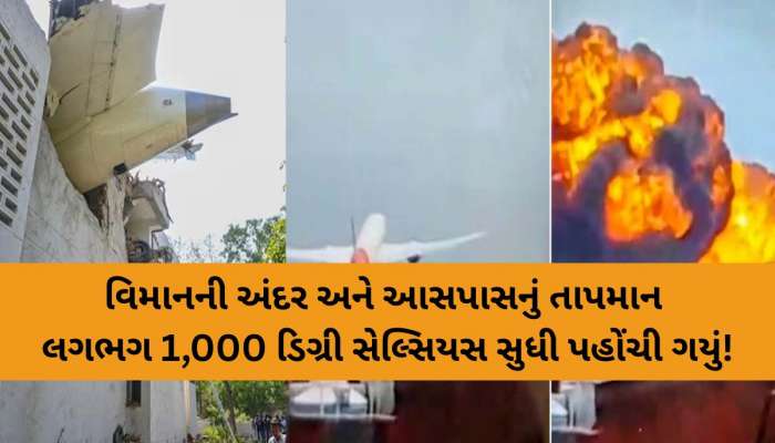 પ્લેન ક્રેશ બાદ ખૌફનાક હતું મંજર! 1000 ડિગ્રી સુધી પહોંચી ગયું ટેંપરેચર...શ્વાન-પક્ષીઓ પણ ભસ્મ થયા!