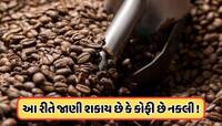 માર્કેટમાં વેચાઈ રહી છે નકલી કોફી! પીતા પહેલા તેને આ રીતે કરો ચેક, જાણો રીત