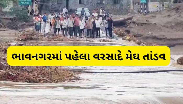 ભાવનગરથી વરસાદના લેટેસ્ટ અપડેટ, 14 ઈંચ વરસાદથી બોટાદ ડૂબ્યું, પાલિતાણામાં જળબંબાકારની સ્થિતિ