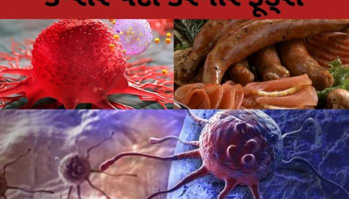 ચુપચાપ કેન્સરને આમંત્રણ આપે છે આ 6 સૌથી ખરાબ ફૂડ્સ, હાર્વર્ડના ડોક્ટરોની મોટી ચેતવણી