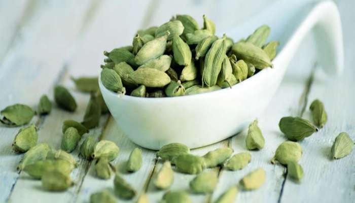 Cardamom Benefits: જમ્યા પછી એલચી ચાવીને ખાવાથી શરીરની 5 પ્રોબ્લેમ્સ થશે દુર, શરુ કરી દો આજથી જ આ કામ
