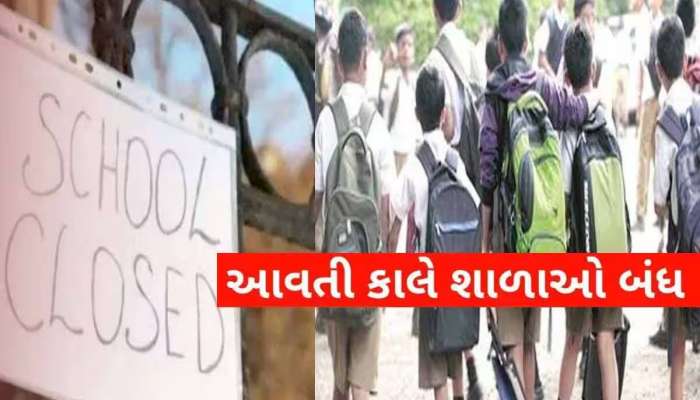 ગુજરાતના આ જિલ્લામાં ભારે વરસાદને કારણે આવતીકાલે શાળાઓમાં રજા જાહેર
