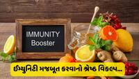 વરસાદી વાતાવરણમાં આ ફળના સેવનથી ઈમ્યુનિટી થઈ જશે મજબૂત...