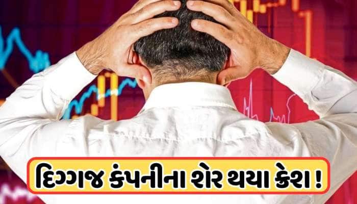 વેદાંતાએ આ દિગ્ગજ કંપનીના વેચી દીધા 7.2 કરોડ શેર, ક્રેશ થયો ભાવ, રોકાણકારોમાં ગભરાટ 