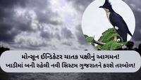 આગામી 5 દિવસ પછી ગુજરાતમાં વરસાદનું ભયાનક એલર્ટ; આદ્રા નક્ષત્ર પહેલાં મોટા સંકેત!