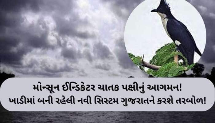આગામી 5 દિવસ પછી ગુજરાતમાં વરસાદનું ભયાનક એલર્ટ; આદ્રા નક્ષત્ર પહેલાં મોટા સંકેત!