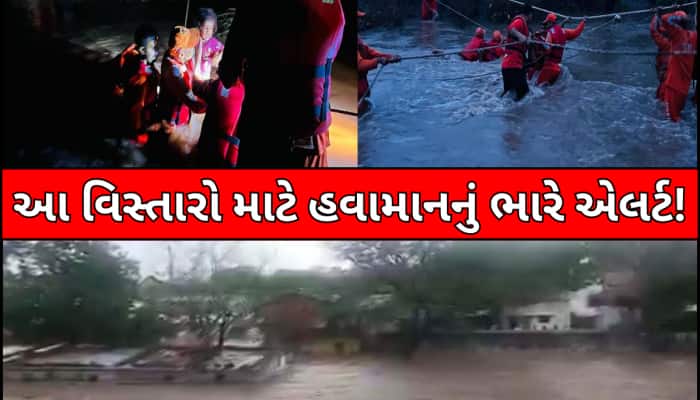 ગુજરાતમાં કુદરતનો કાળો કહેર! મુશળધાર વરસાદમાં રમકડાંની જેમ તણાઈ કારો, 5 લોકો ગુમ
