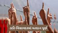 Gujarat By Election 2025 Voting: ઉમેદવારોનું ભાવિ મતદાન પેટીમાં સીલ, કડીમાં 54 અને વીસાવદર 56 ટકા મતદાન