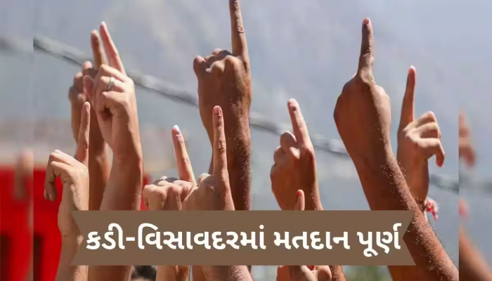 ગુજરાતમાં પેટાચૂંટણીનું મતદાન પૂર્ણ, કડીમાં 57.90 અને વીસાવદર 56.89 ટકા મતદાન; 23 જૂને પરિણામ