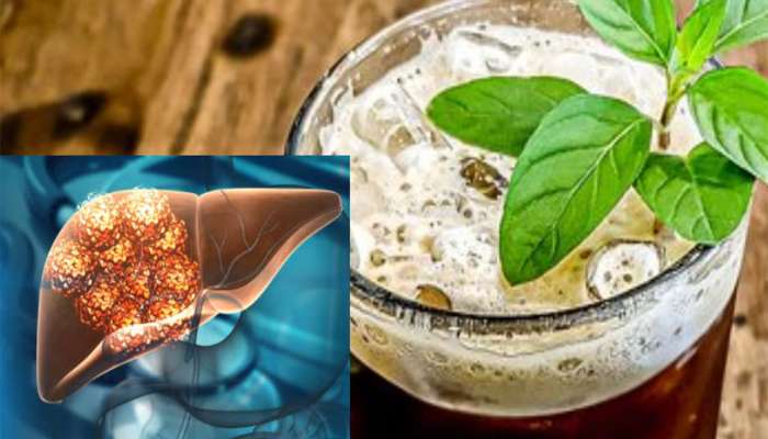 Detox liver: લીવરમાં જામેલા ટોક્સિન અને સોજો દુર કરવામાં મદદ કરશે આ Drinks, સડતું લીવર પણ સ્વસ્થ થઈ જશે
