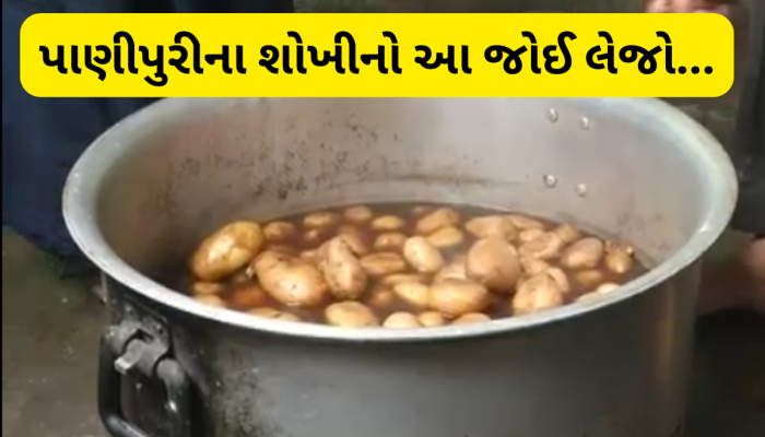 તમે આવા સડેલા બટાકાની પાણીપુરી તો નથી ખાતા ને! ગુજરાતના એક શહેરમાં ચેકિંગમાં મળ્યું આવું 