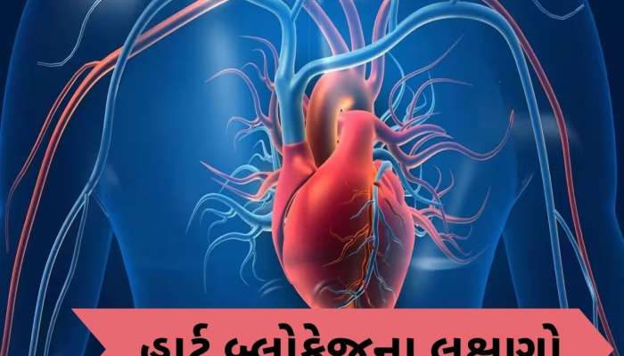  સવારે ઉઠીને આ 1 લક્ષણ દેખાય તો સીધા ડોક્ટર પાસે જજો, હાર્ટ બ્લોકેજનો હોઈ શકે છે સંકેત