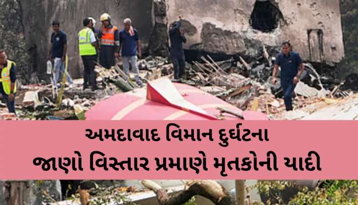 Ahmedabad Plane Crash Death: કયા જિલ્લામાં કેટલા લોકોના મોત થયા, જાણો વિસ્તાર પ્રમાણે મૃતકોની યાદી