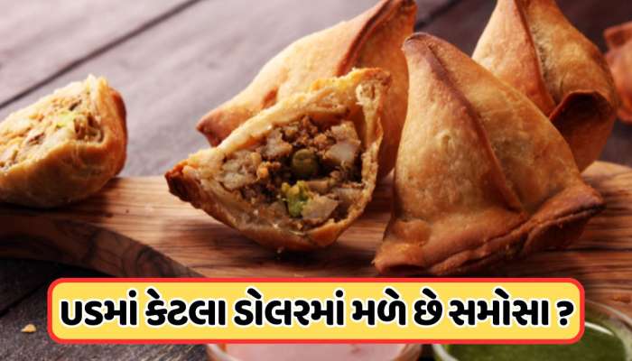 અમેરિકામાં કેટલા રૂપિયામાં મળે છે બે સમોસા? કિંમત સાંભળ્યા પછી, તમે ભારતમાં જ કરી લેશો પાર્ટી 