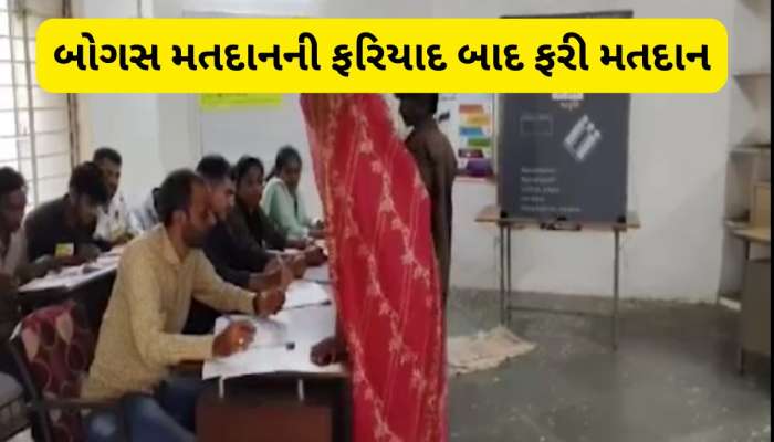 વિસાવદરમાં એવું તો શું થયું કે બે બુથ પર આજે ફરીથી મતદાન થઈ રહ્યું છે, ચૂંટણી પંચનો મોટો નિર્ણય