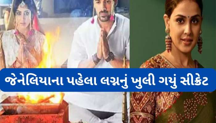 Genelia First Marriage:રિતેશ દેશમુખ સાથે જેનેલિયા ડિસુઝાના છે બીજા લગ્ન, પહેલીવાર આ એક્ટર સાથે થયા હતા મેરેજ