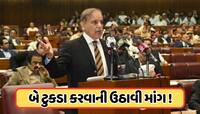 બદલાશે પાકિસ્તાનનો નકશો... થશે ટુકડા-ટુકડા, શાહબાઝના મંત્રીએ કહ્યું, જાણો 