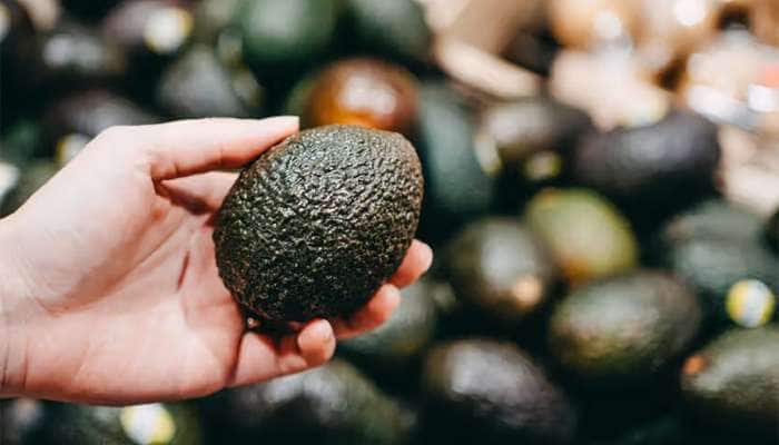Fruits: ફેટી લીવરમાં આ 5 ફળ ખાવાથી થશે ફાયદો, ડેમેજ લીવર થવા લાગશે રીપેર