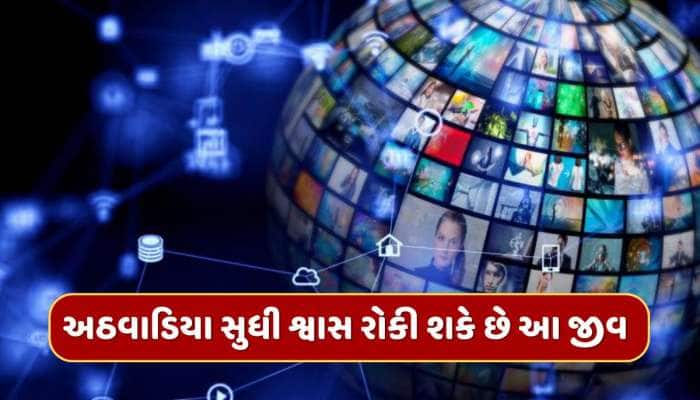 Trending Quiz : એવો કયો જીવ છે જે એક અઠવાડિયા સુધી શ્વાસ રોકી શકે છે ?