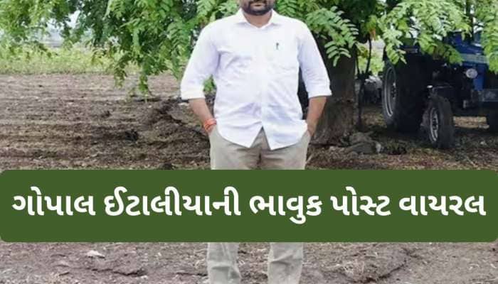 પરિણામ પહેલા ગોપાલ ઈટાલિયાની ભાવુક પોસ્ટ; સમર્થકો અને કાર્યકર્તાઓને કરી આ અપીલ