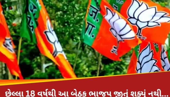 Visavadar Election Result: વિસાવદરમાં ભાજપ તોડી શકશે 18 વર્ષનો રેકોર્ડ; ગુજરાતના રાજકારણમાં આ બેઠક કેમ છે ગેમ ચેન્જર?