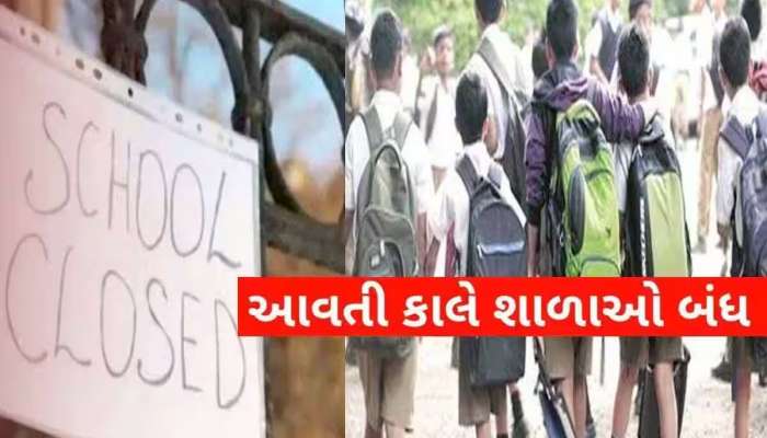 ગુજરાતના આ શહેરમાં આજે તમામ શાળાઓમાં રજા જાહેર, ભારે વરસાદને કારણે DEOએ આપી સૂચના 