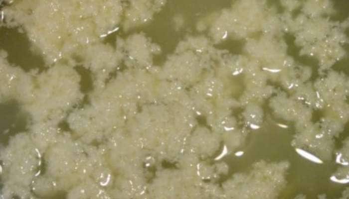 Recipe: ફાટેલા દૂધમાંથી બની શકે છે સ્વાદિષ્ટ બંગાળી મીઠાઈ, આ રહી બનાવવાની રીત