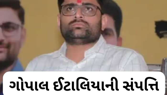  Gopal Italia Net Worth: આટલી સંપત્તિના માલિક છે ગોપાલ ઈટાલિયા, જાણો ઘર-ગાડી-જમીન વિશે દરેક માહિતી