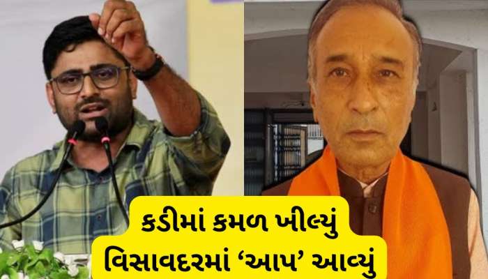 પેટાચૂંટણીનું પિક્ચર પૂરું : ગોપાલ ઈટાલિયા બન્યા મેન ઓફ ધ મેચ, કડીમાં રાજેન્દ્ર ચાવડા વન વે જીતી ગયા