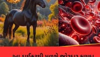 સવારે ખાલી પેટ ખાવો આ સસ્તું ચમત્કારી ડ્રાઈફ્રૂટ, નસ-નસમાં દોડશે ઘોડા જેવી તાકાત!
